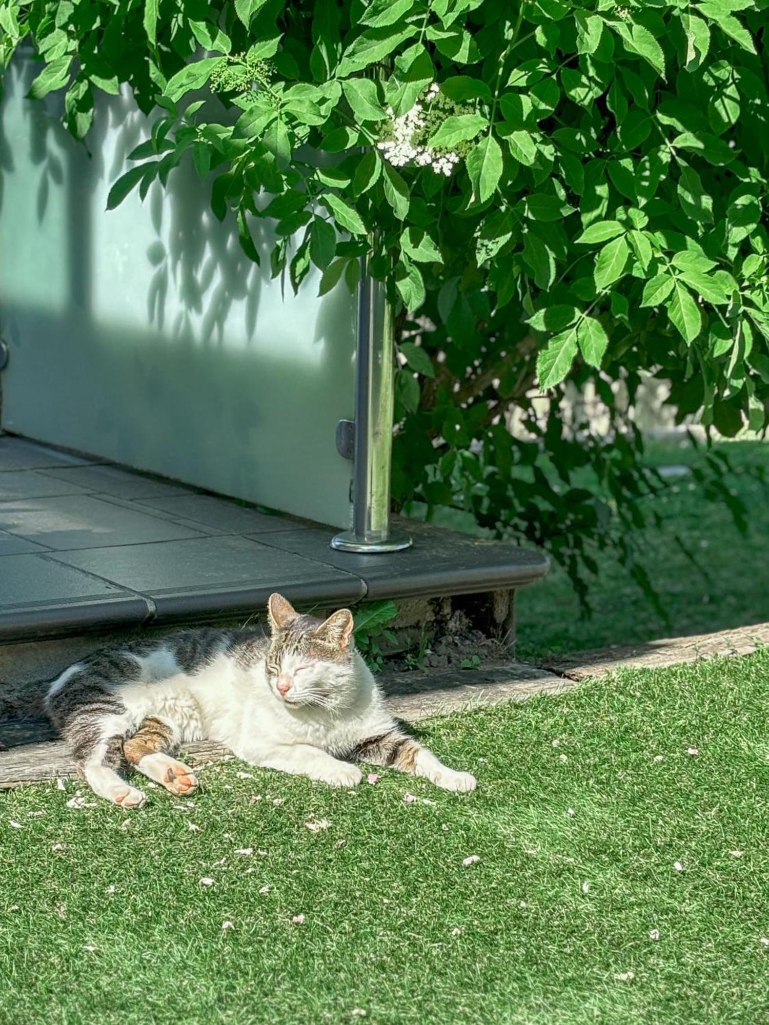 Villa Suances Tagle Екстериор снимка